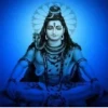 shiv