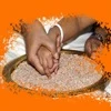  विद्यारंभम् दिवस